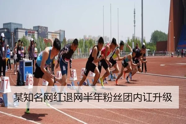 某知名网红退网半年粉丝团内讧升级